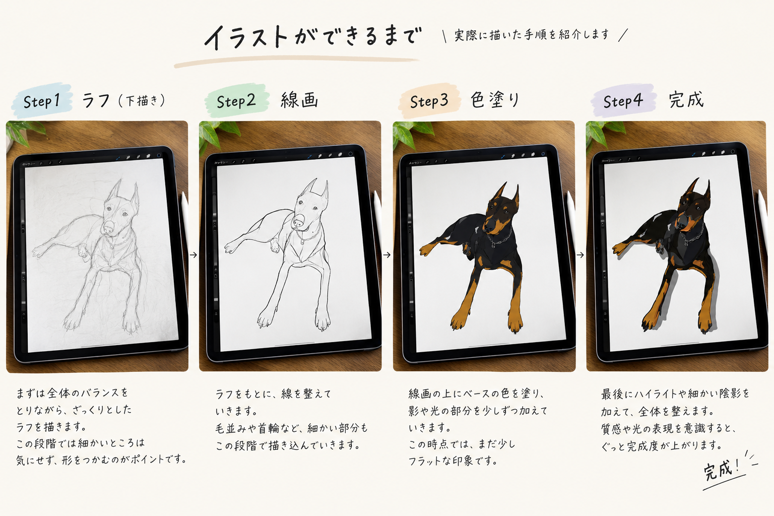 F73B2449-F538-4959-B719-42FCAB549A7E.png